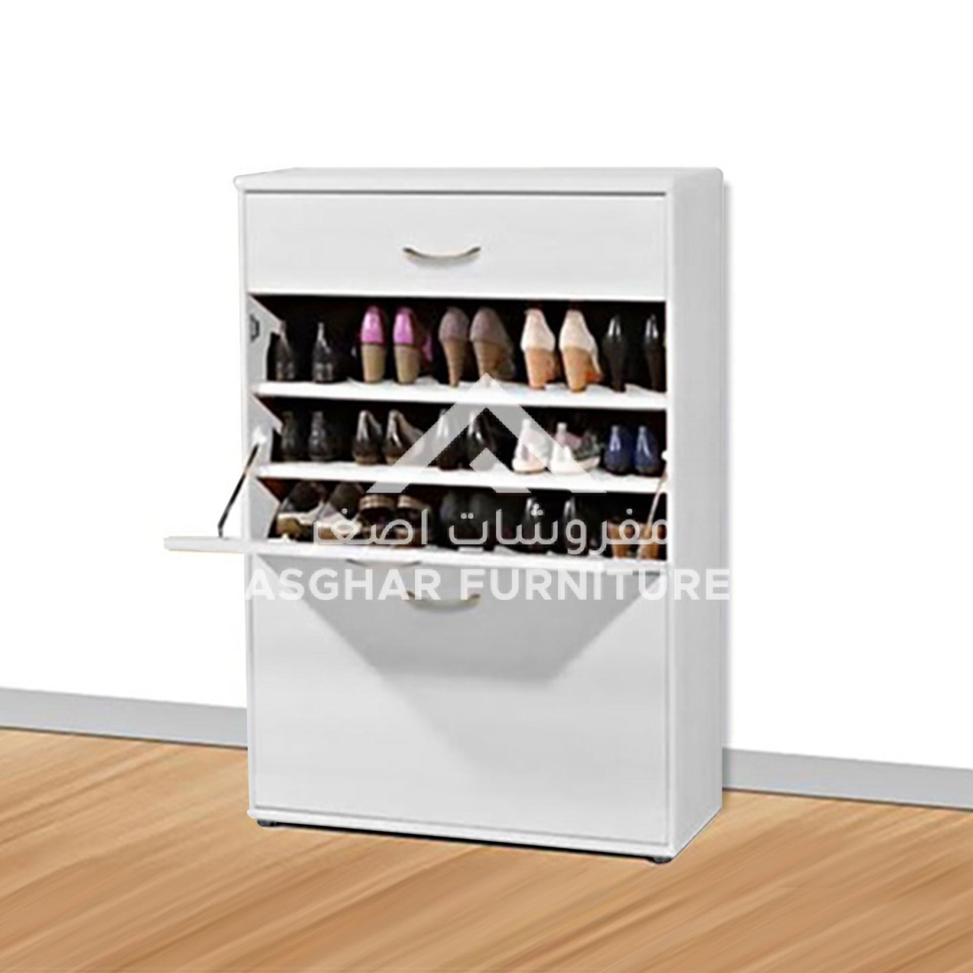 Two-Door Shoe Cabinet - Image 4